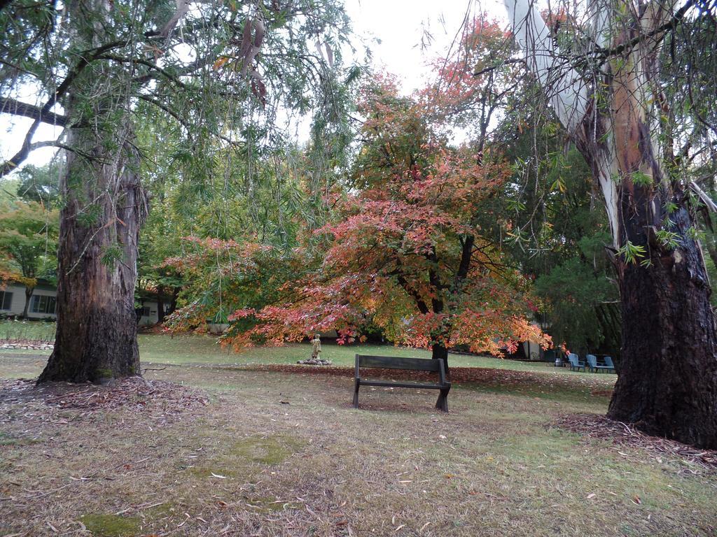 Alpine Riverside Cottages Porepunkah Exterior foto